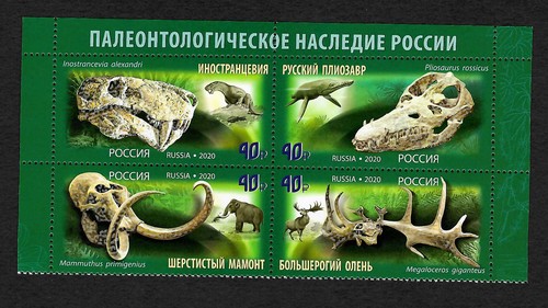 Russia 2020 animali - russia,