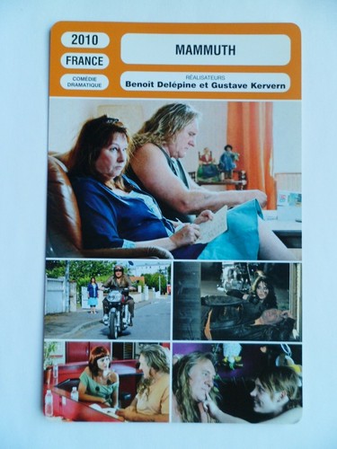 Carte fiche cinema - cinema, 2010