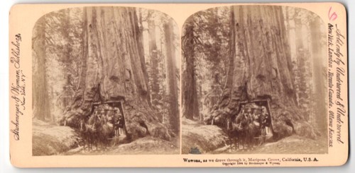 Fotografia stereo underwood - fotografia,
